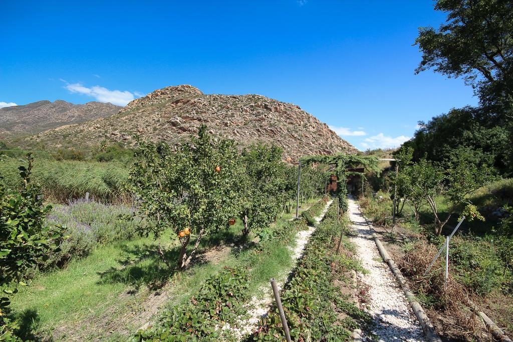Kogman & Keisie Guest Farm Βίλα Montagu Εξωτερικό φωτογραφία